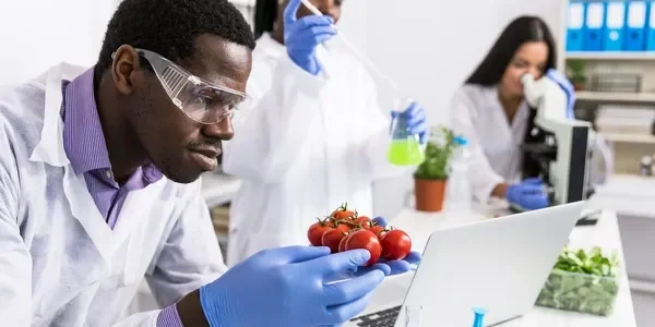 A man holding tomatoes in front of a laptop.